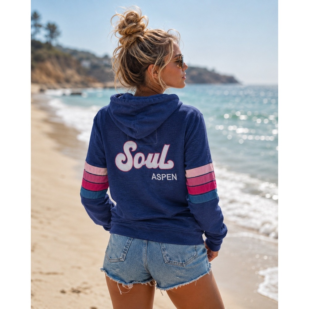 Aviator Nation Soul Aspen Zip Hoodie Blue Pink Stripe Full Zip Sweatshirt